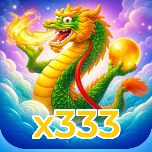 x333